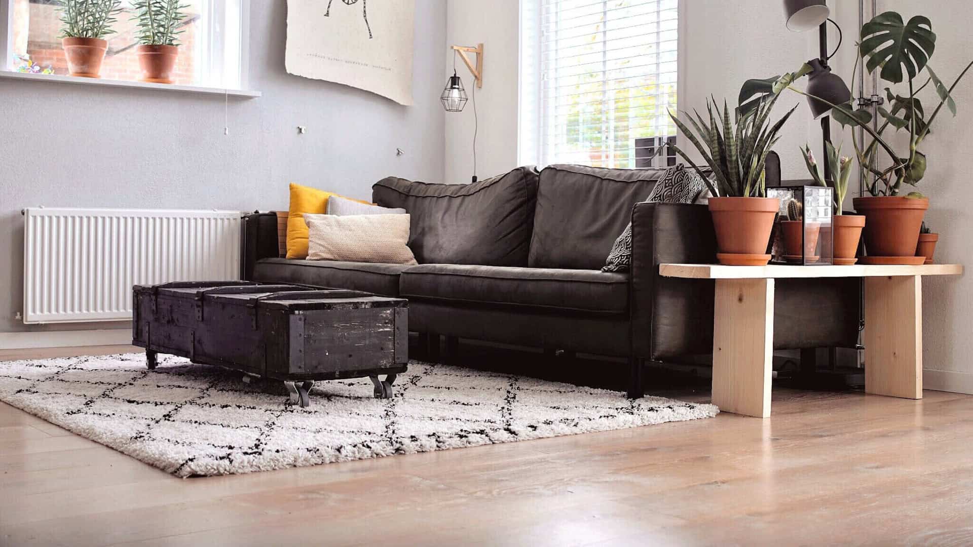 living room with laminate floor